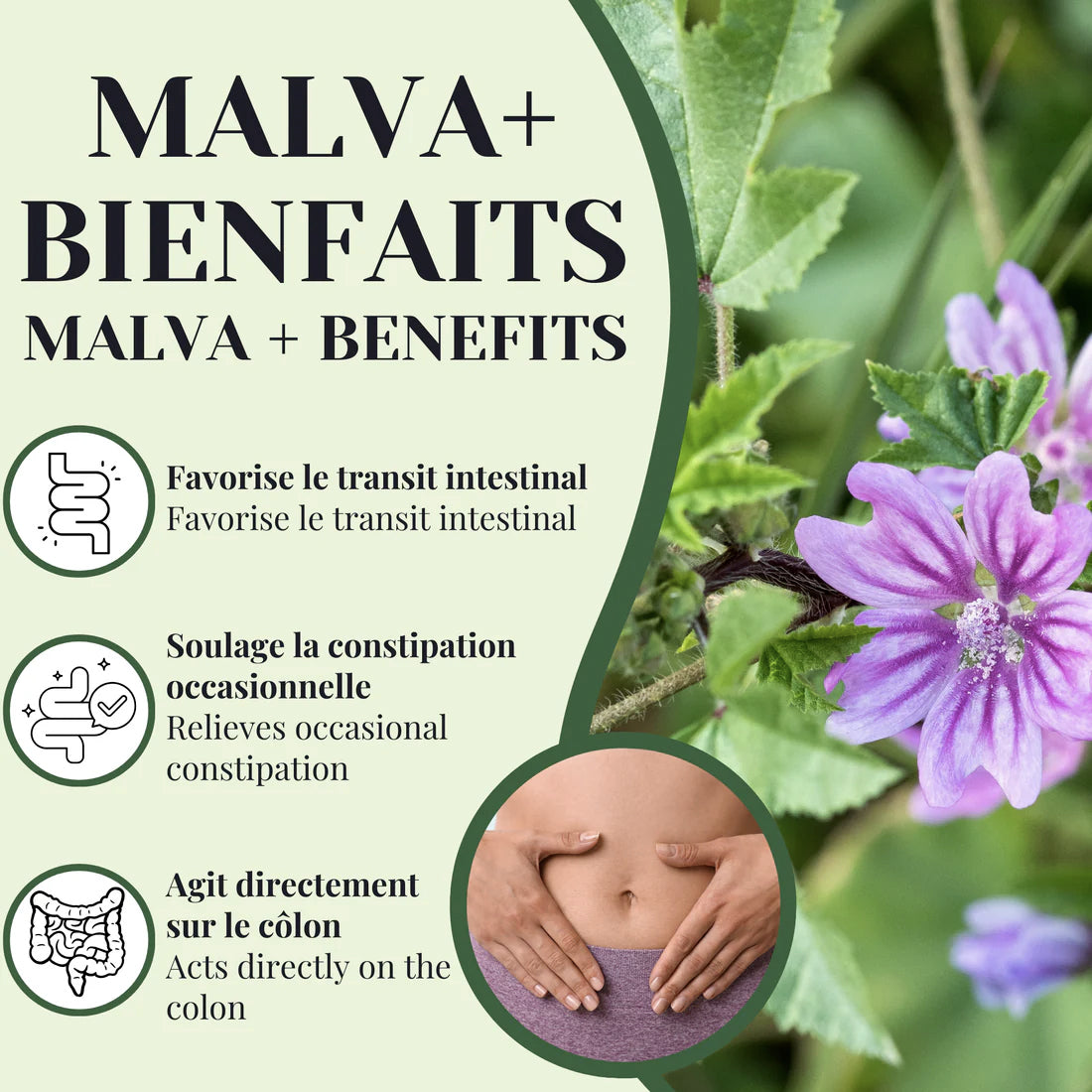 Tisane Malva + Séné - Laxatif - Phytovie - 25 ou 50 sachets