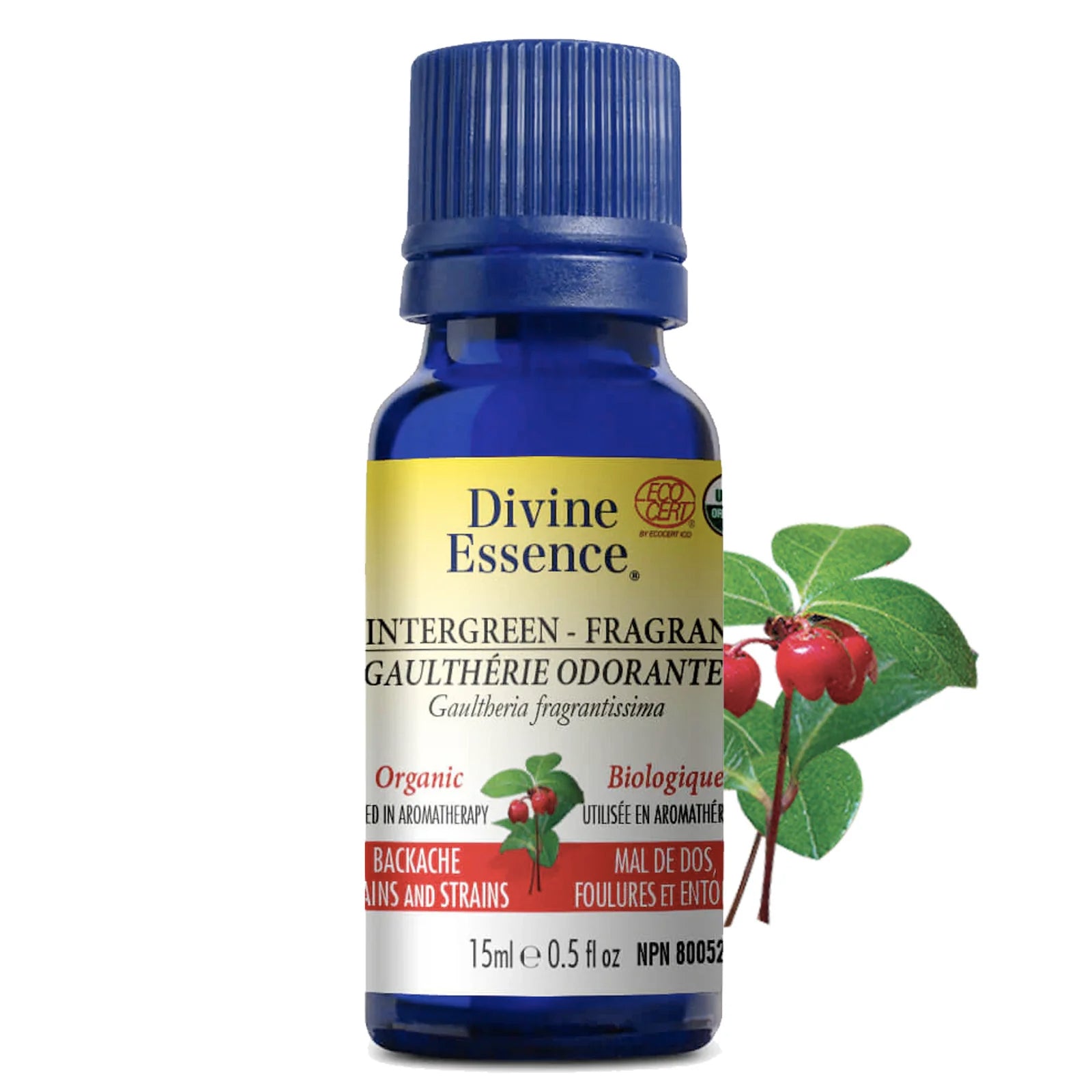 Huile essentielle de Gaulthérie odorante biologique - Divine Essence - 15ml