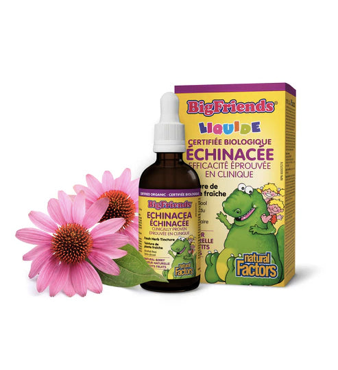 Échinacée Liquide pour enfants - sans alcool - Big Friends - Natural Factors - 50ml -Saveur de Petits Fruits