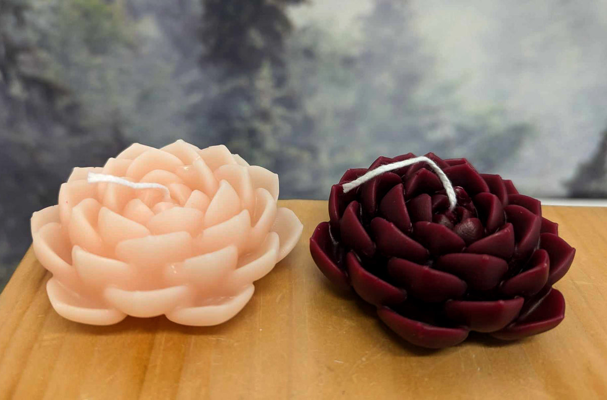 Bougies de soya - Fleur de lotus (Reste seulement la rose pâle)