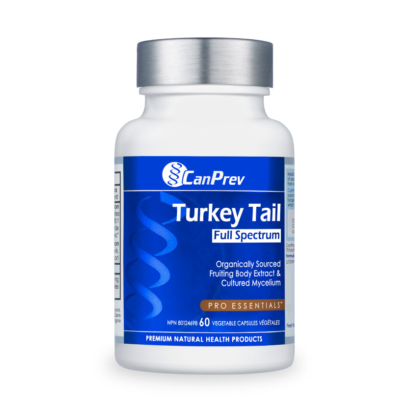 Champignon médicinal - Queue de dindon - Turkey Tail - CanPrev - 60 capsules