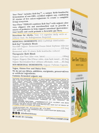 Votre Flore Terrain - Probiotiques - Living Alchemy