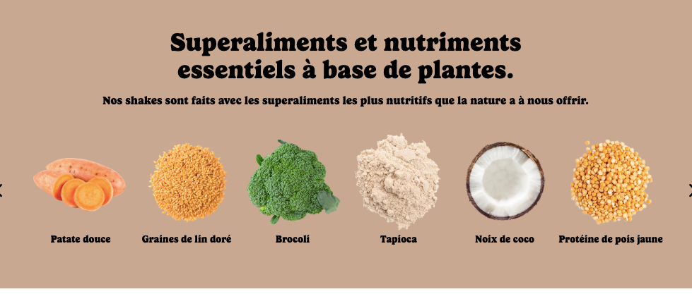 Protéines végétales - Boisson tout-en-un - Fudge au chocolat- Good Protein - 2 formats