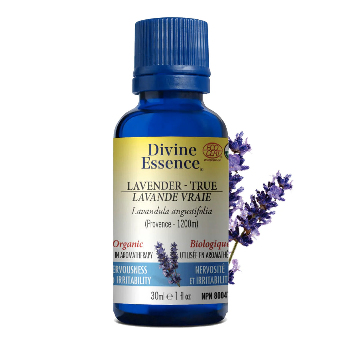 Lavande Vraie (de Provence) biologique - Divine Essence - Format 15ml ou 30ml