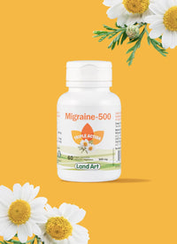 Migraine 500 Triple Action - Prévenir les migraines et soulager maux de tête - Land Art - 60 capsules