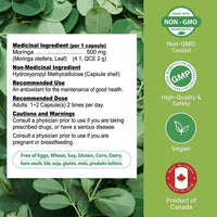 Moringa Extra concentrée extra-fort (4000mg, 4:1 = 500mg) - Nutridom - 120 capsules
